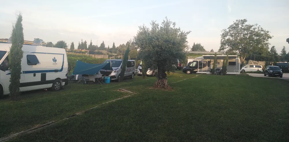 AGRICAMPEGGIO ORO VERDE