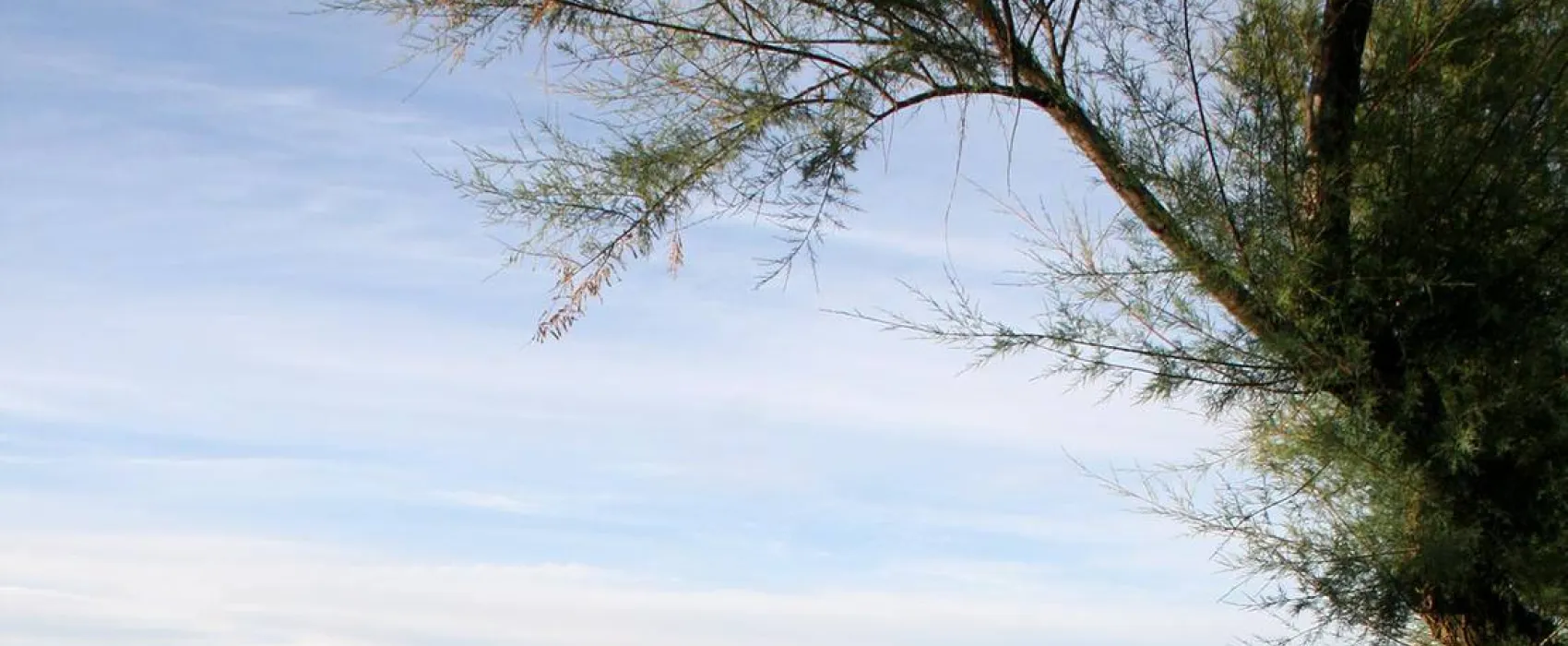 Camping Le Clos Du Rhone