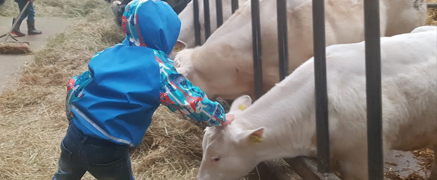 Boerderijcamping Van 't Zandeind