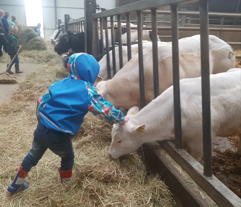 Boerderijcamping Van 't Zandeind