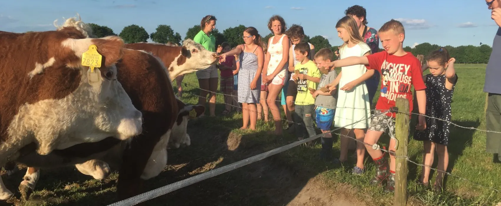 Boerderijcamping Van 't Zandeind