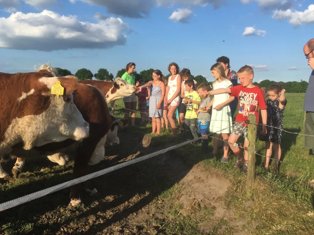 Boerderijcamping Van 't Zandeind