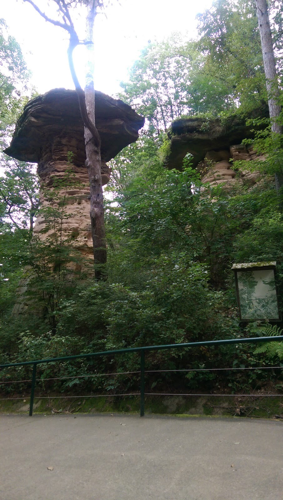 Stand Rock Campground photo 2