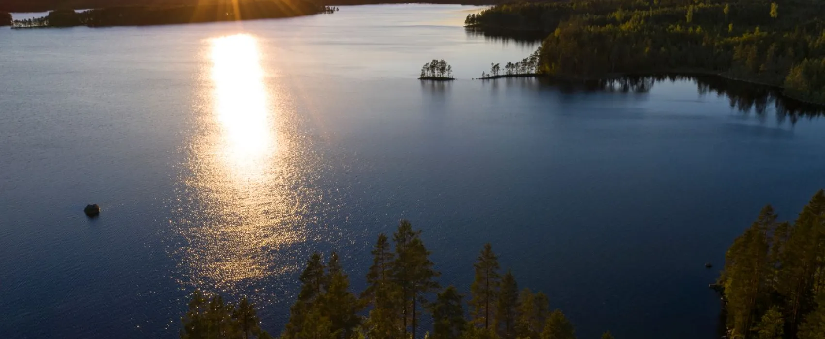 Happie camp - Jangenreviret