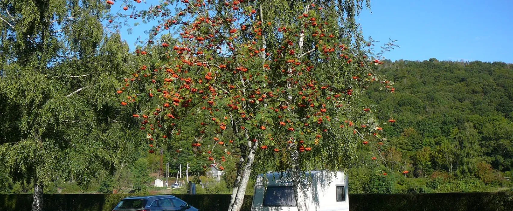 Municipal de Moraypre