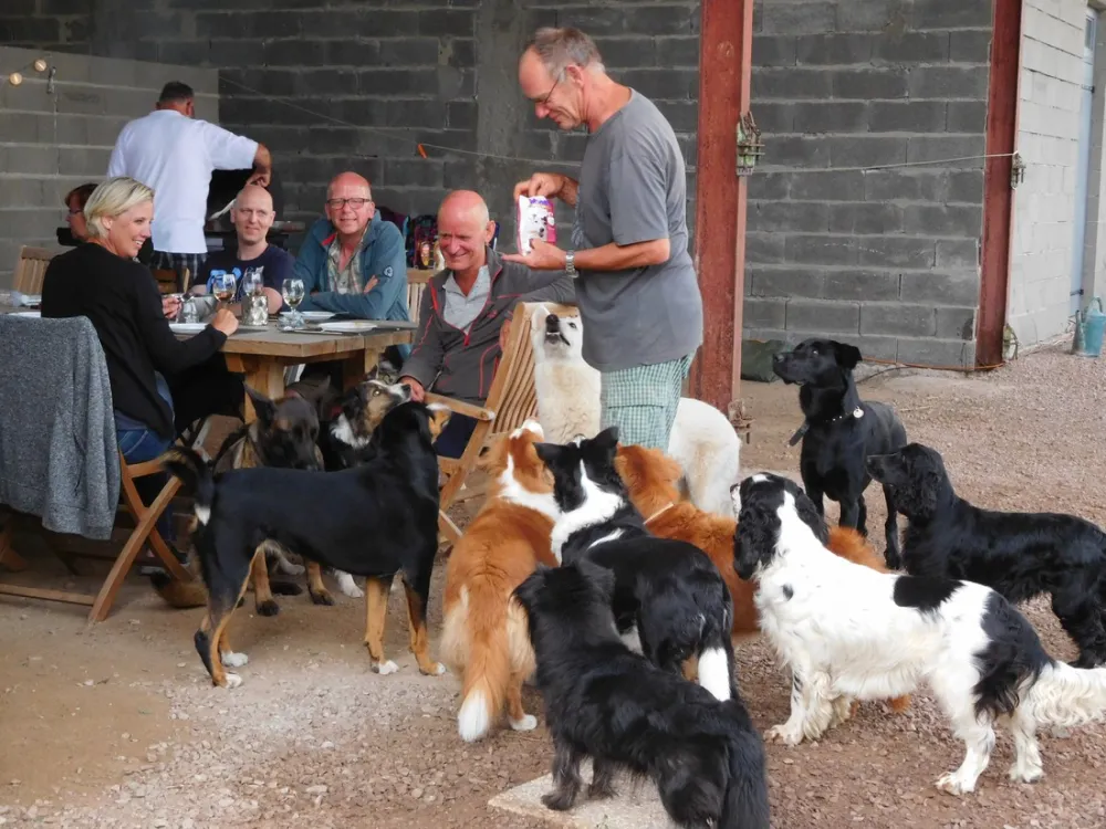 Hondencamping Le Grand Larue