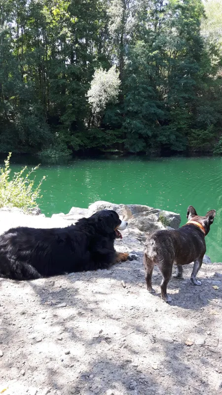 Hondencamping Le Grand Larue