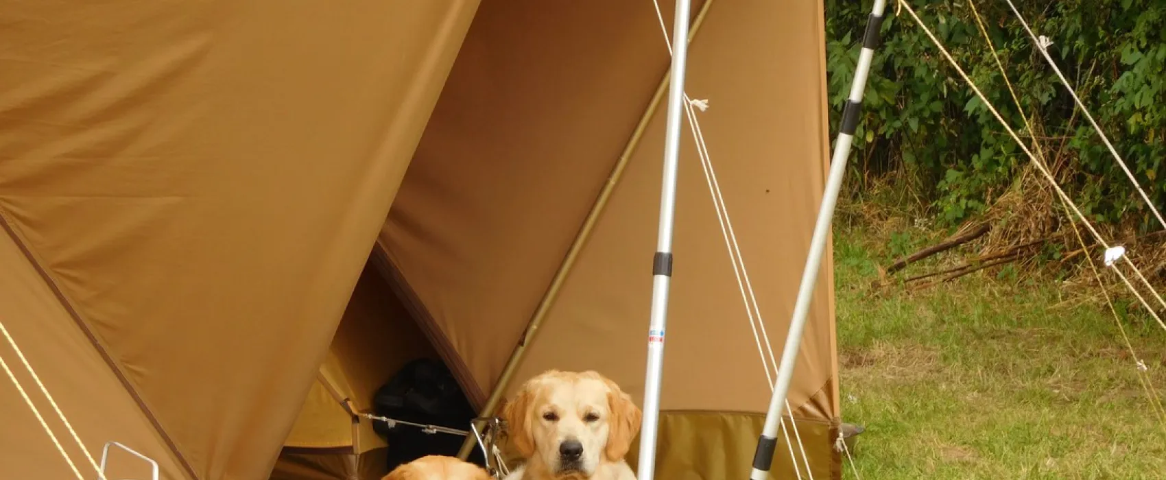 Hondencamping Le Grand Larue