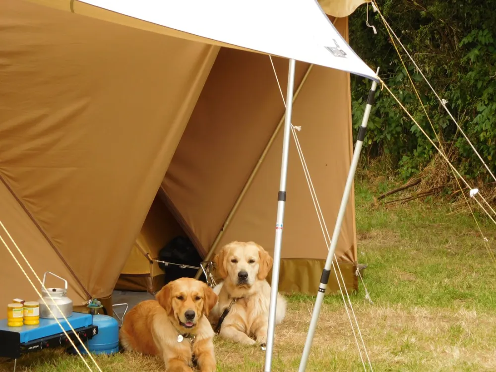 Hondencamping Le Grand Larue