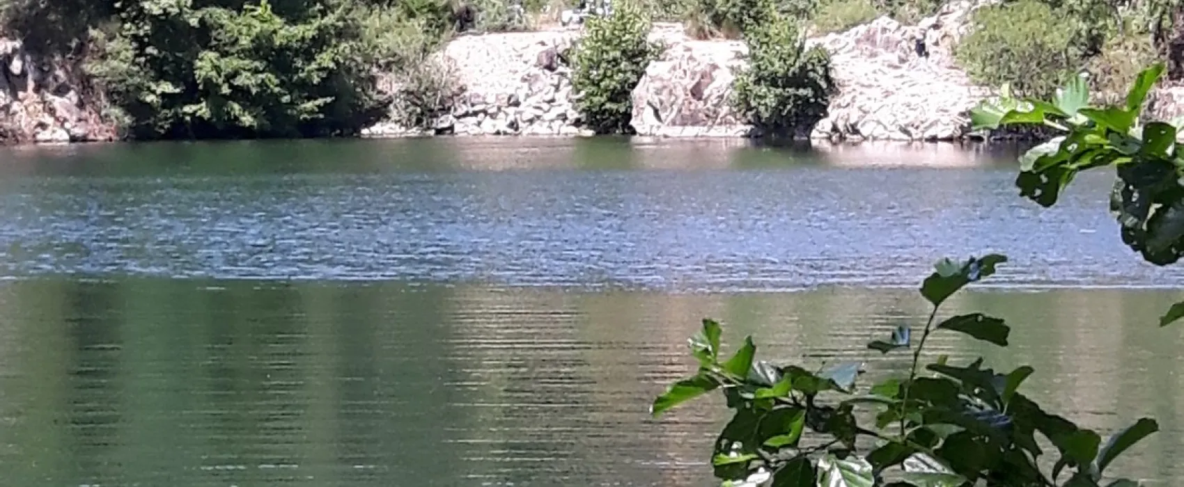 Hondencamping Le Grand Larue