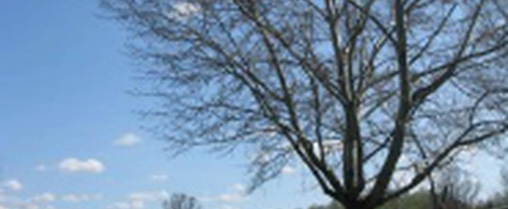 Camp Pálava - Nové Mlýny