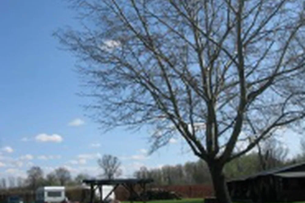 Camp Pálava - Nové Mlýny