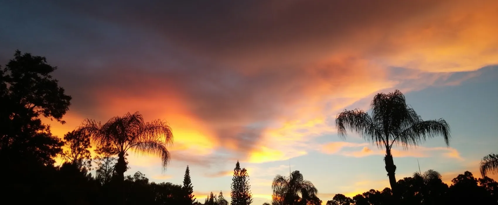 Sun-N-Shade Campground