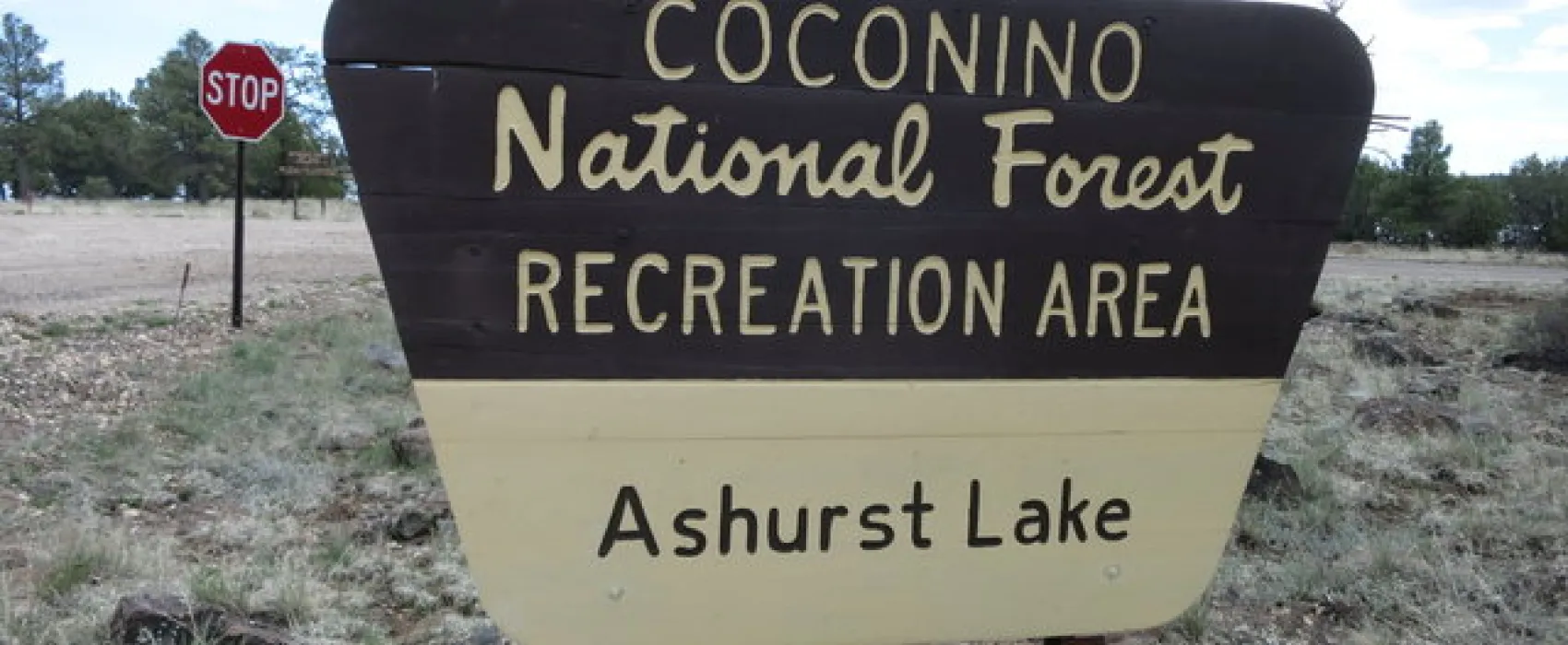 Ashurst Lake Campground