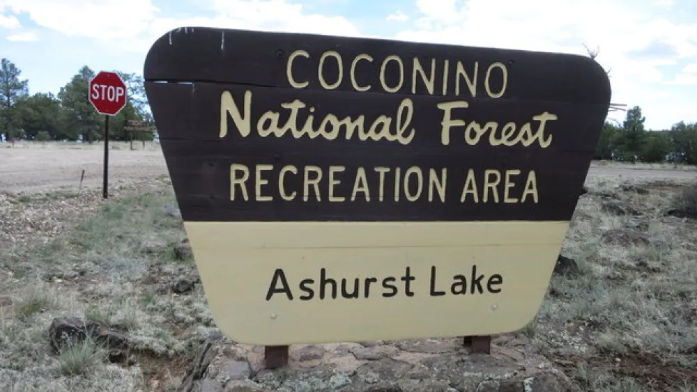 Ashurst Lake Campground