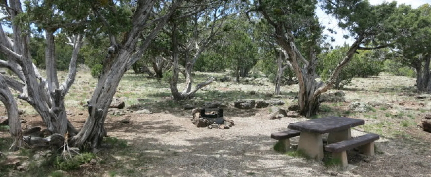 Ashurst Lake Campground