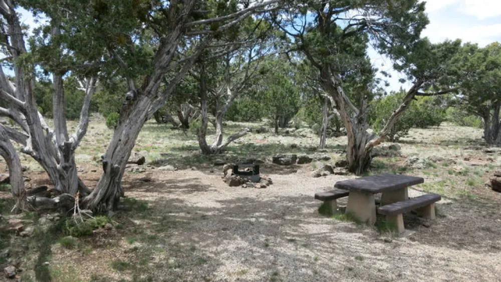 Ashurst Lake Campground