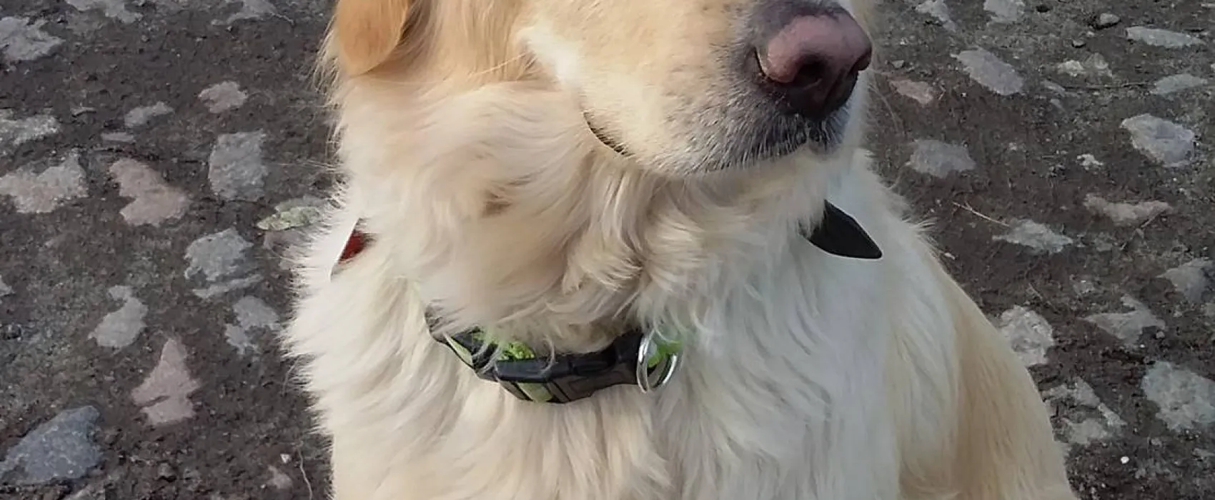 Wohnmobil-Oase-Berlin