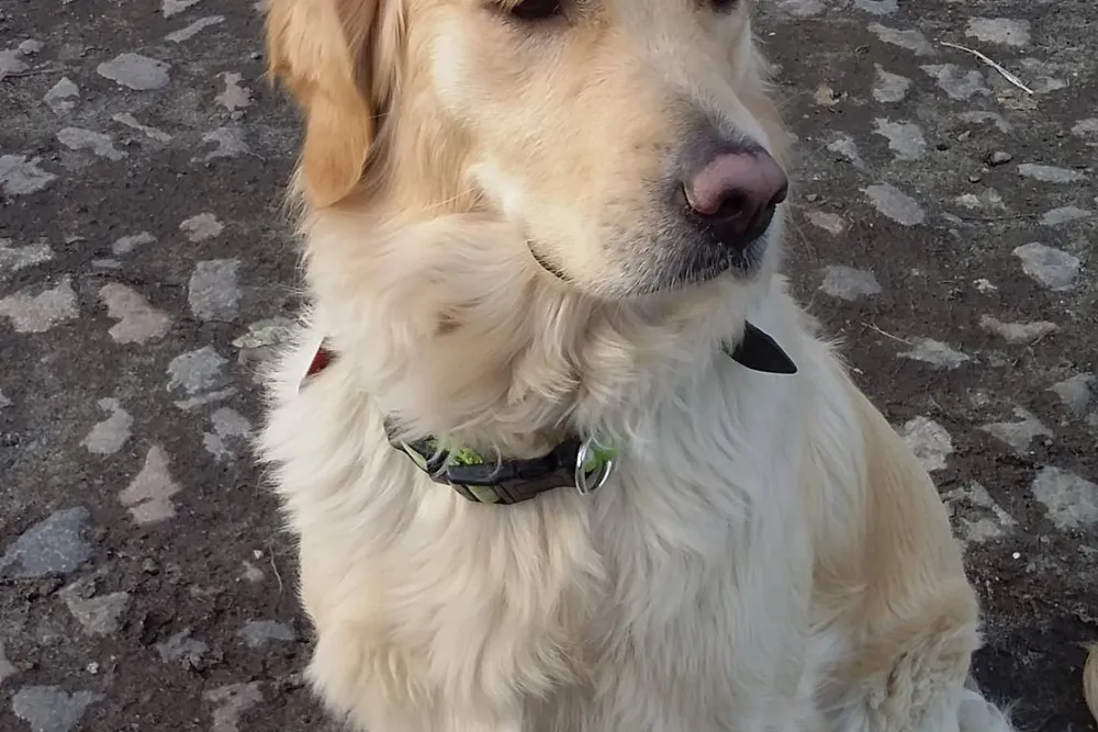 Wohnmobil-Oase-Berlin