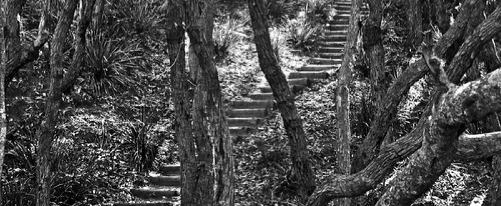 Termeil Point Campground