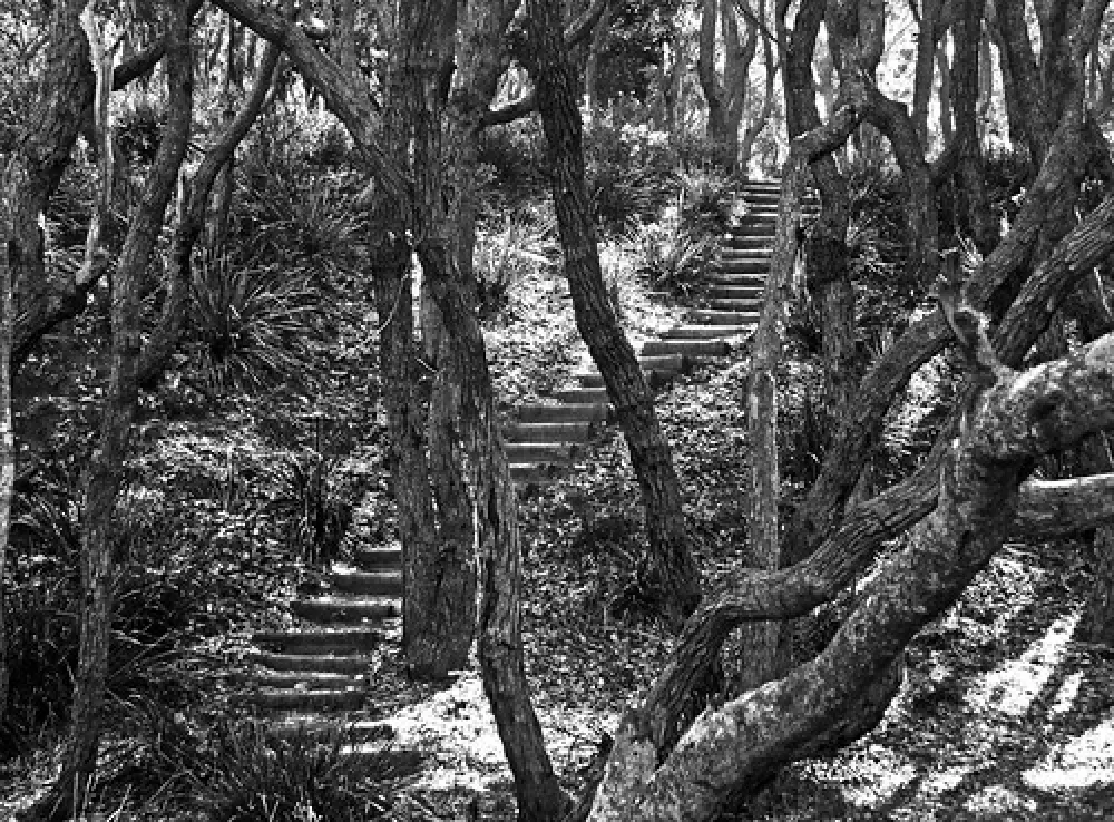 Termeil Point Campground