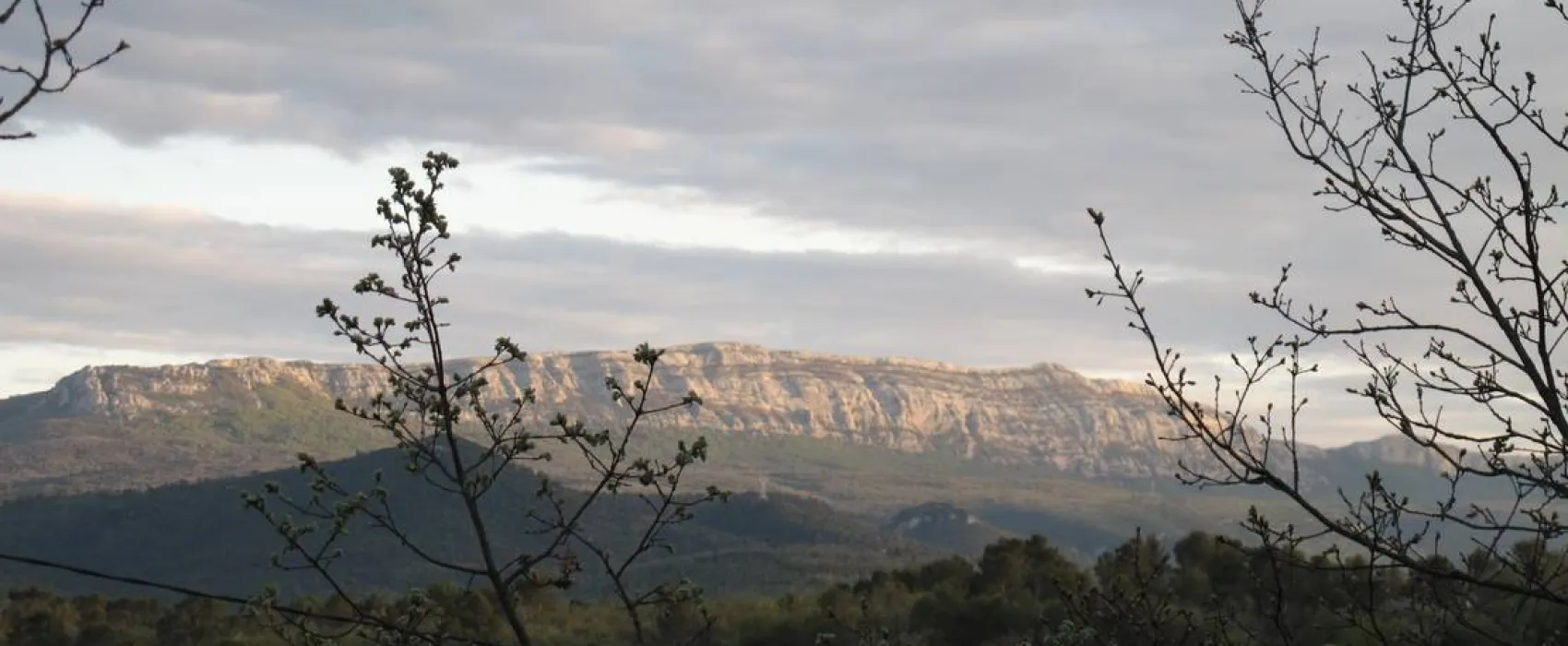 Flower Camping Le Provencal