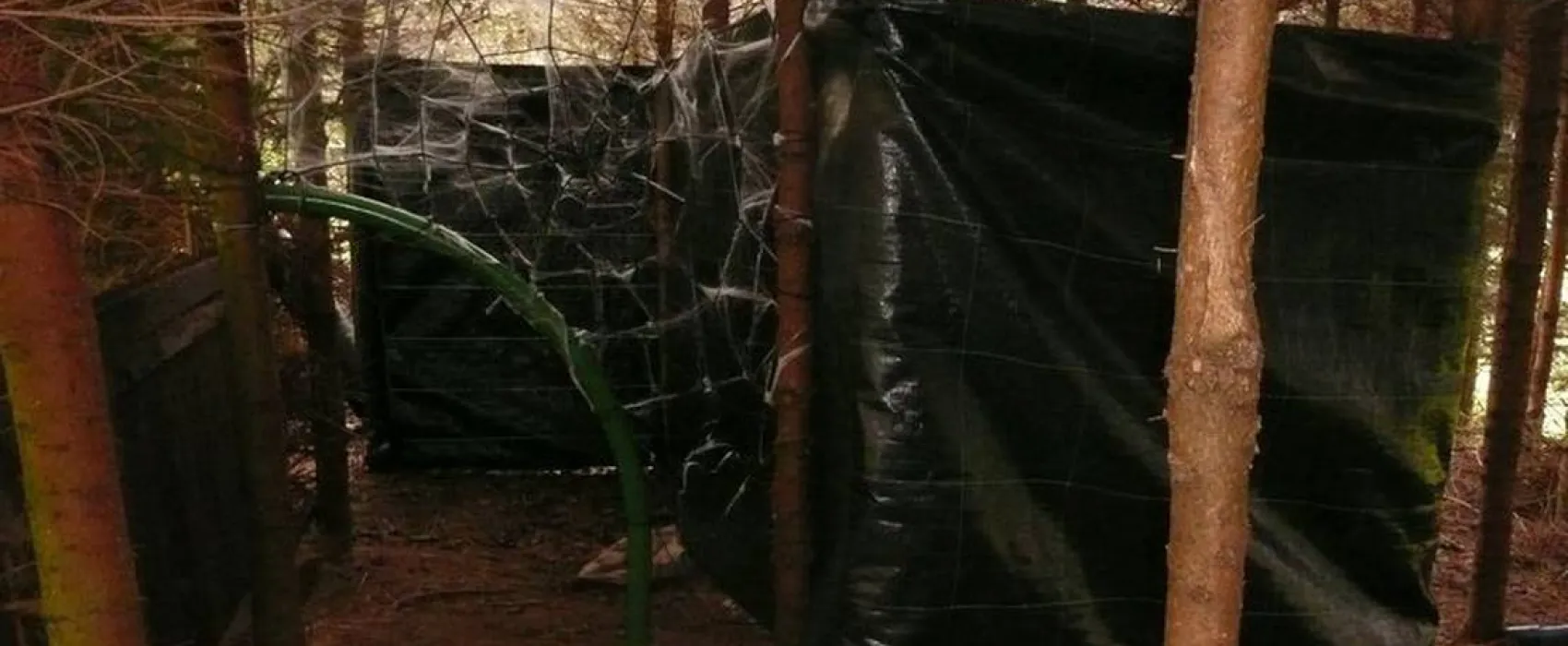 Camping de Sprookjesmolen