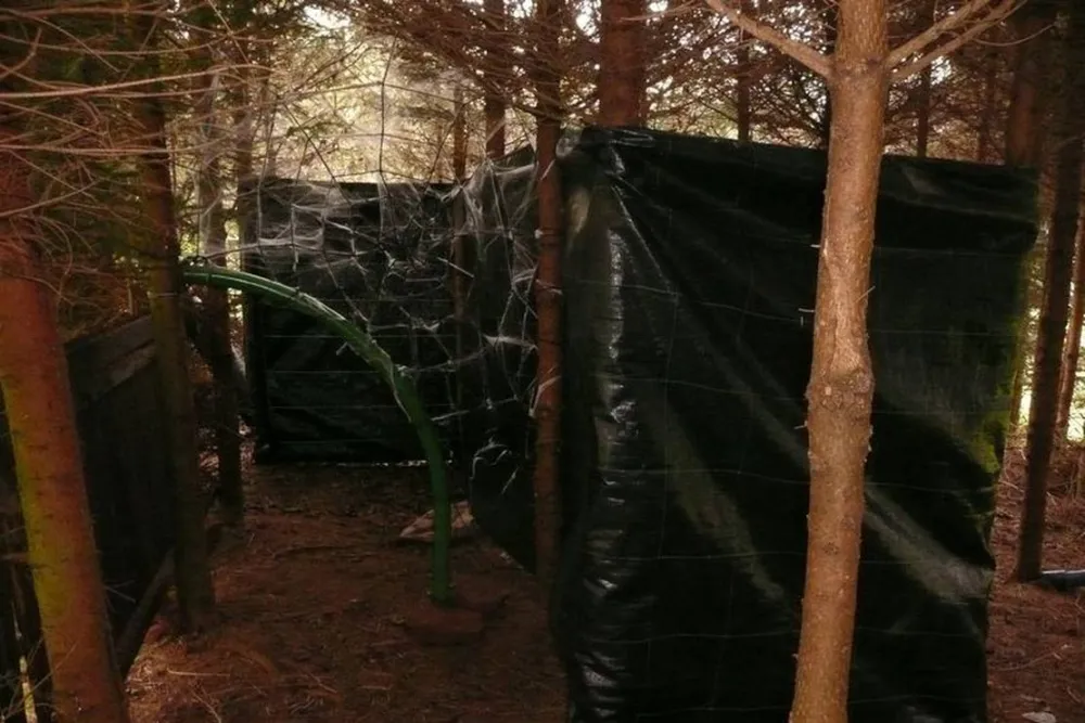 Camping de Sprookjesmolen