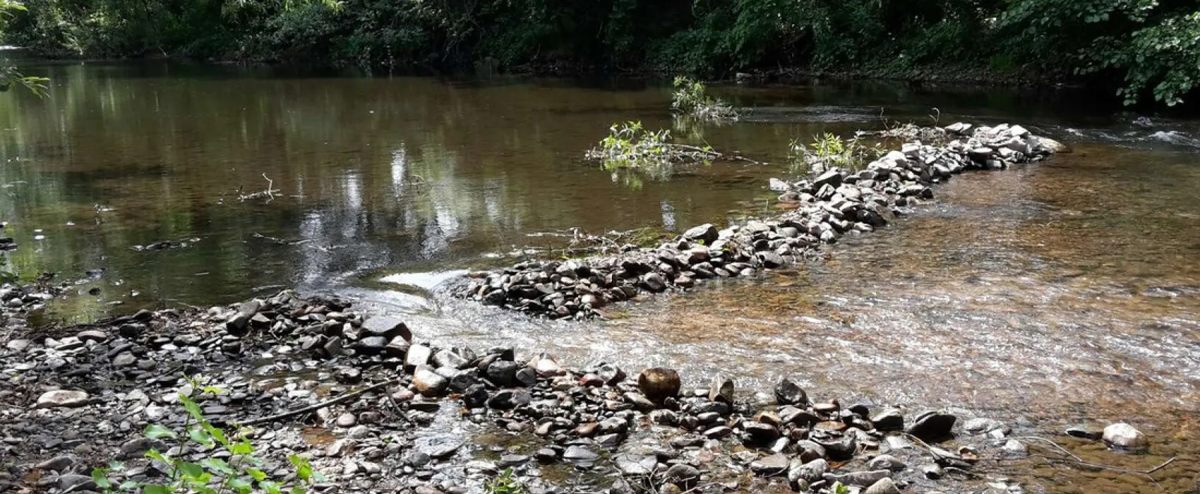 Municipal de Molsheim