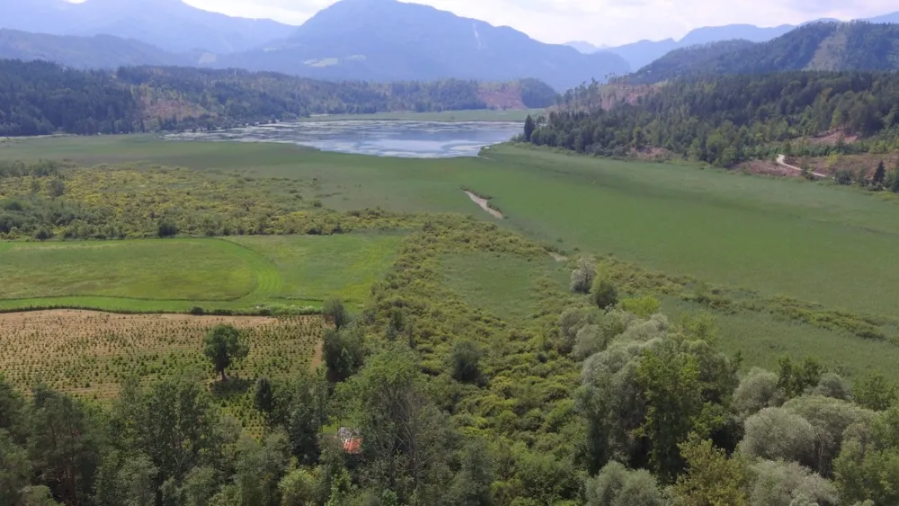 Sonnencamp Gösselsdorfer See