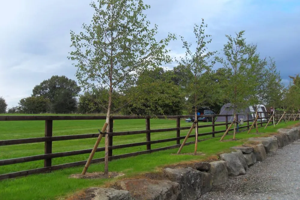 Woodhouse Farm Holiday Park