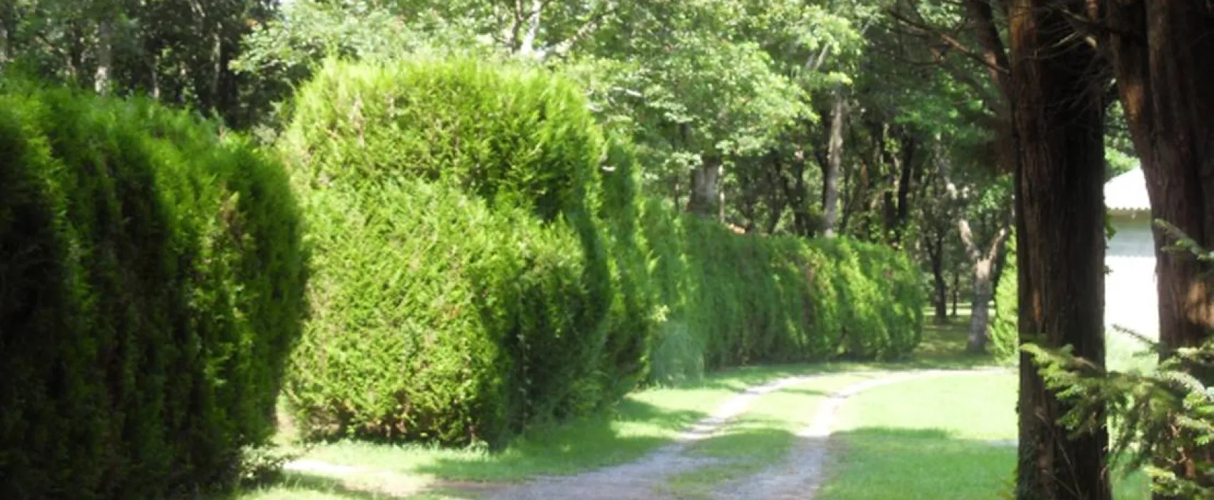 Camping Ducasse aire naturelle