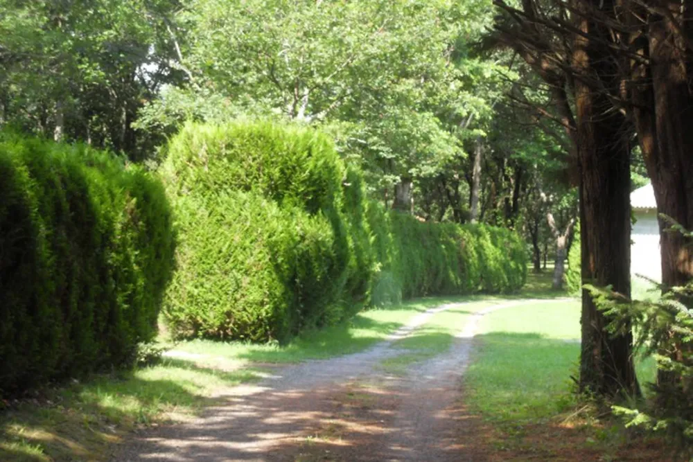 Camping Ducasse aire naturelle