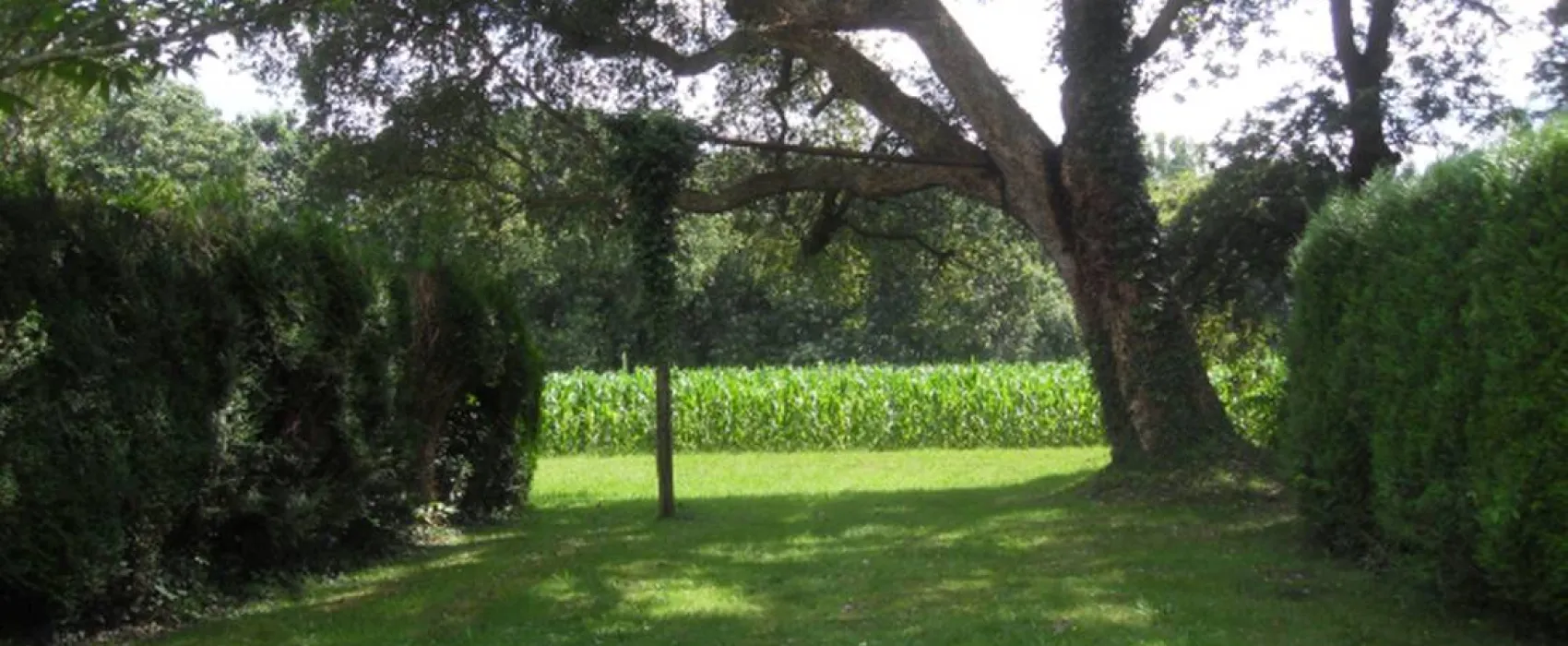 Camping Ducasse aire naturelle