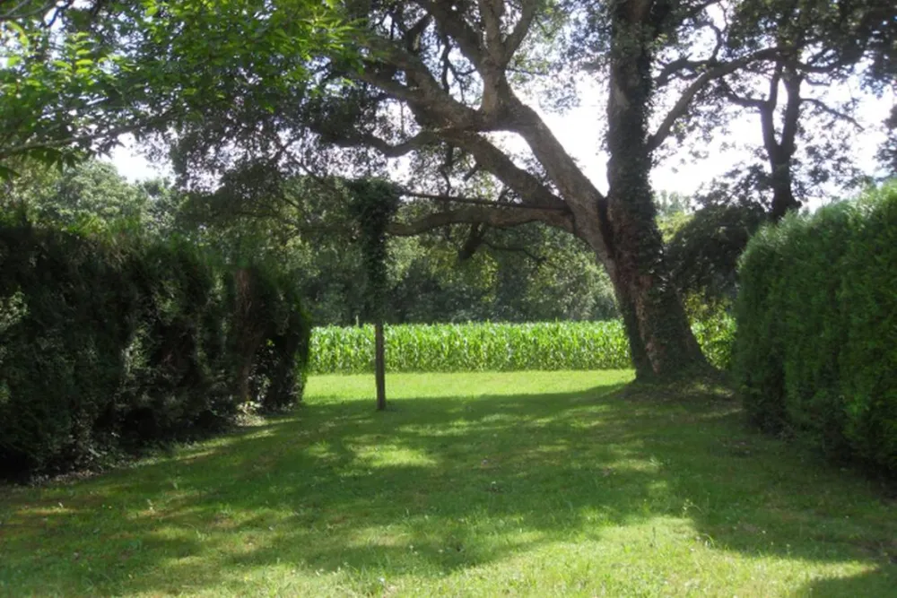 Camping Ducasse aire naturelle