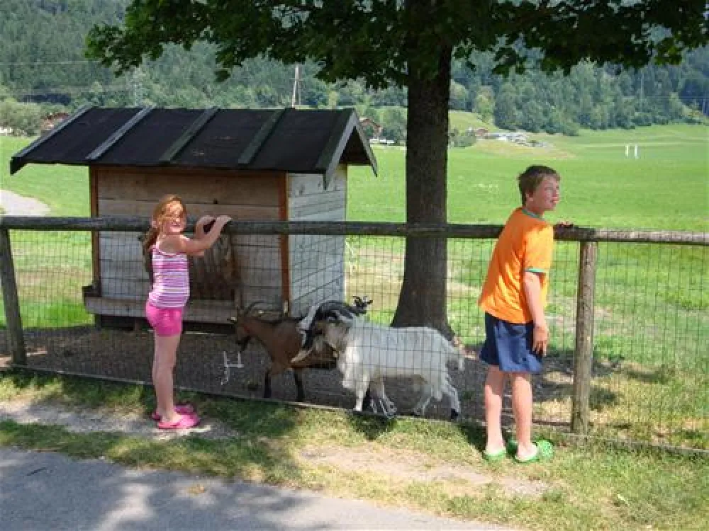 & Appartementen Seehof Alpbachtal