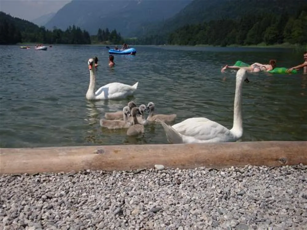 & Appartementen Seehof Alpbachtal