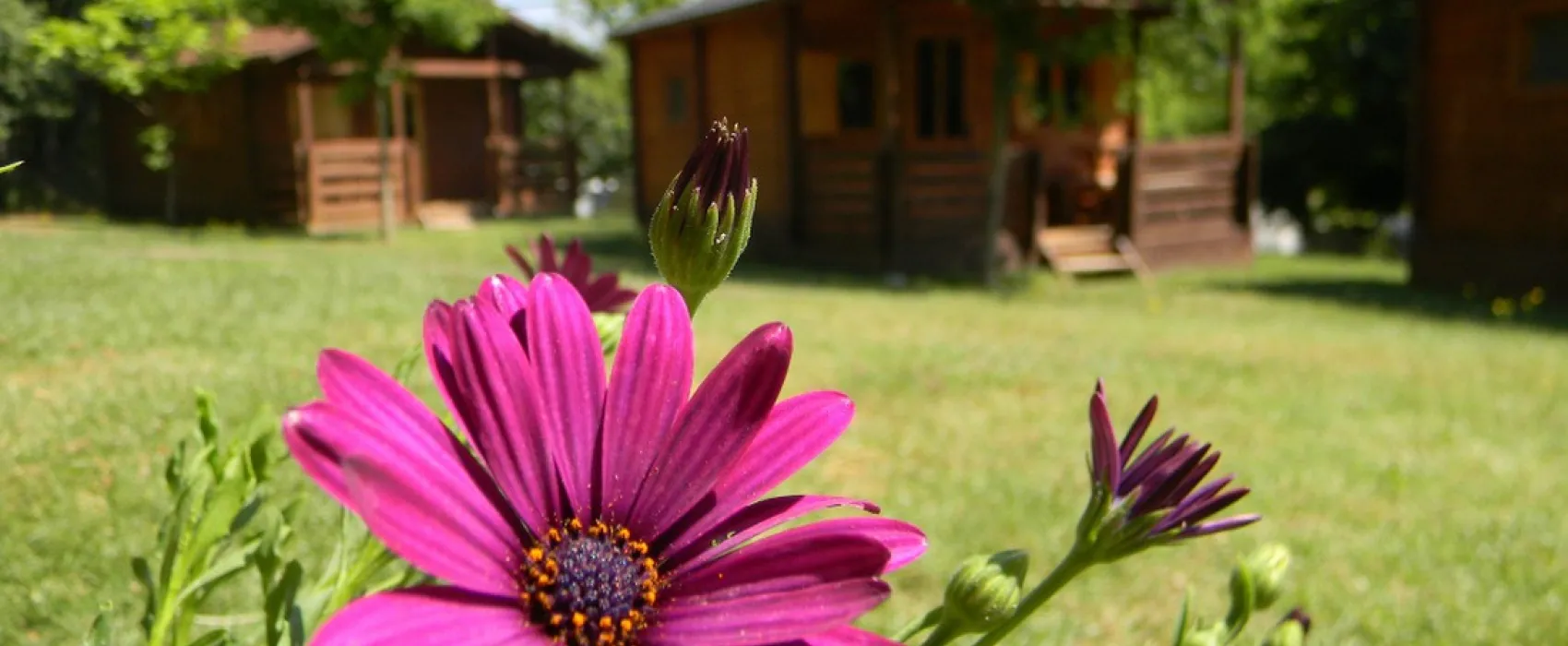 La Vall de Campmajor