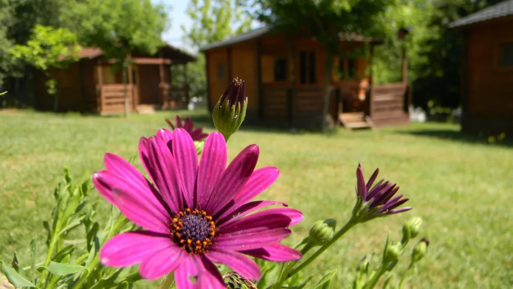La Vall de Campmajor