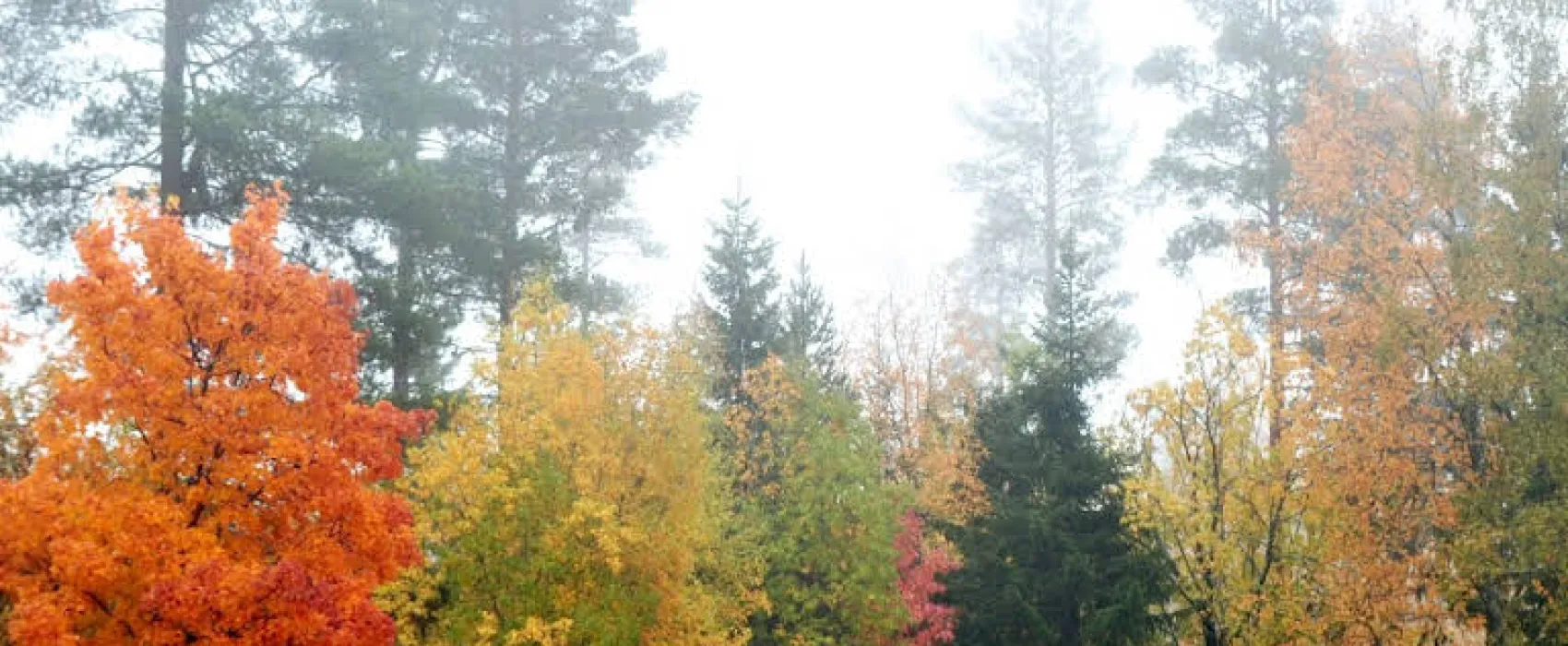 Utbildningscentrum i Gillhov