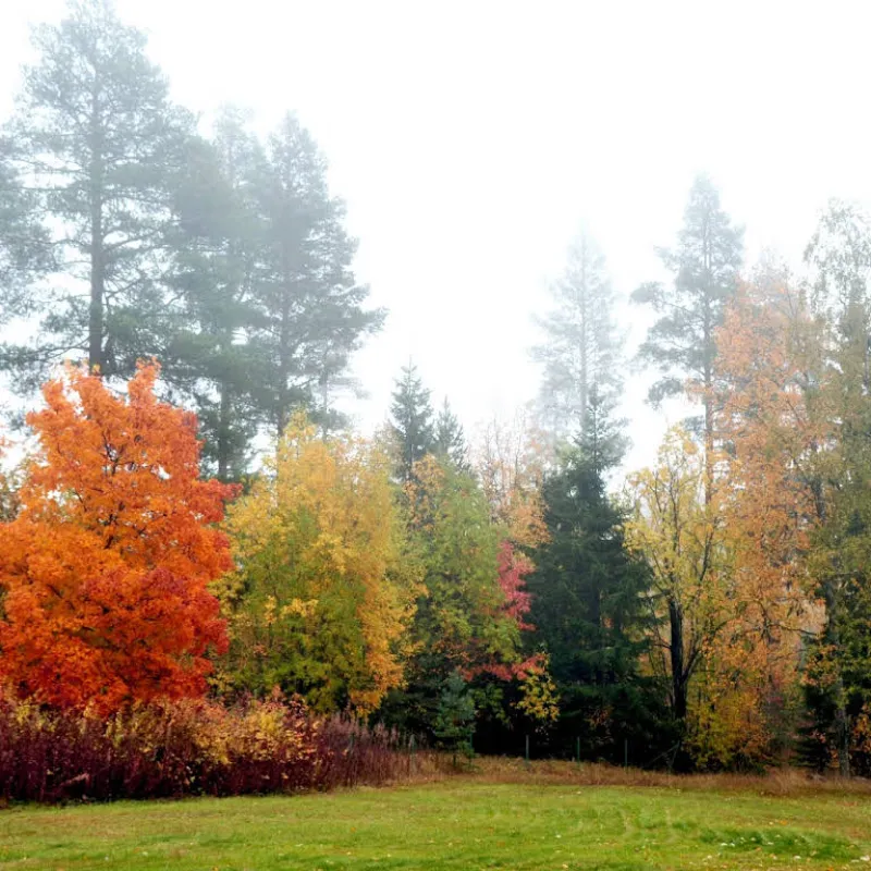 Utbildningscentrum i Gillhov