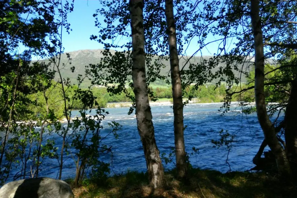 Øya økocamp