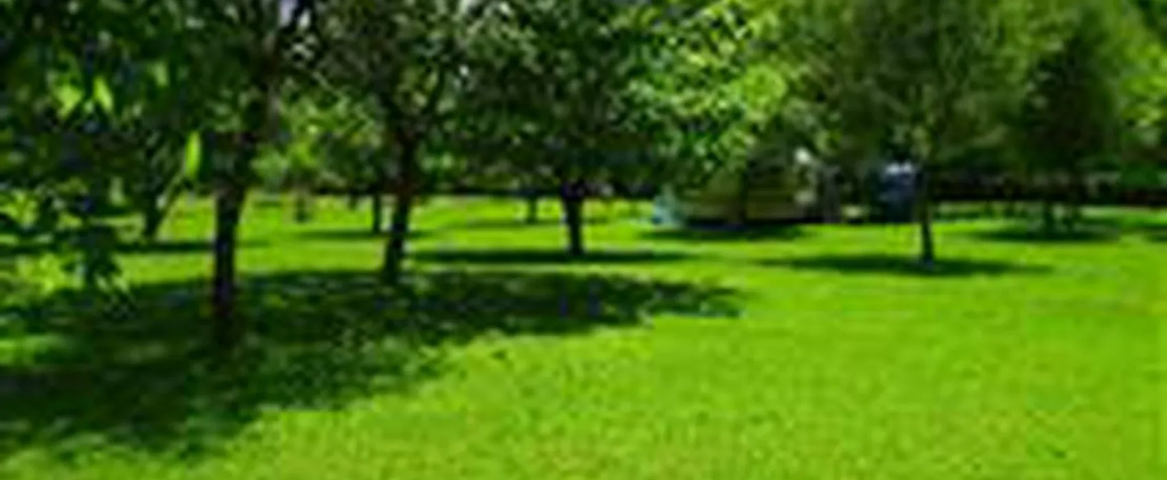 Camping Playa España