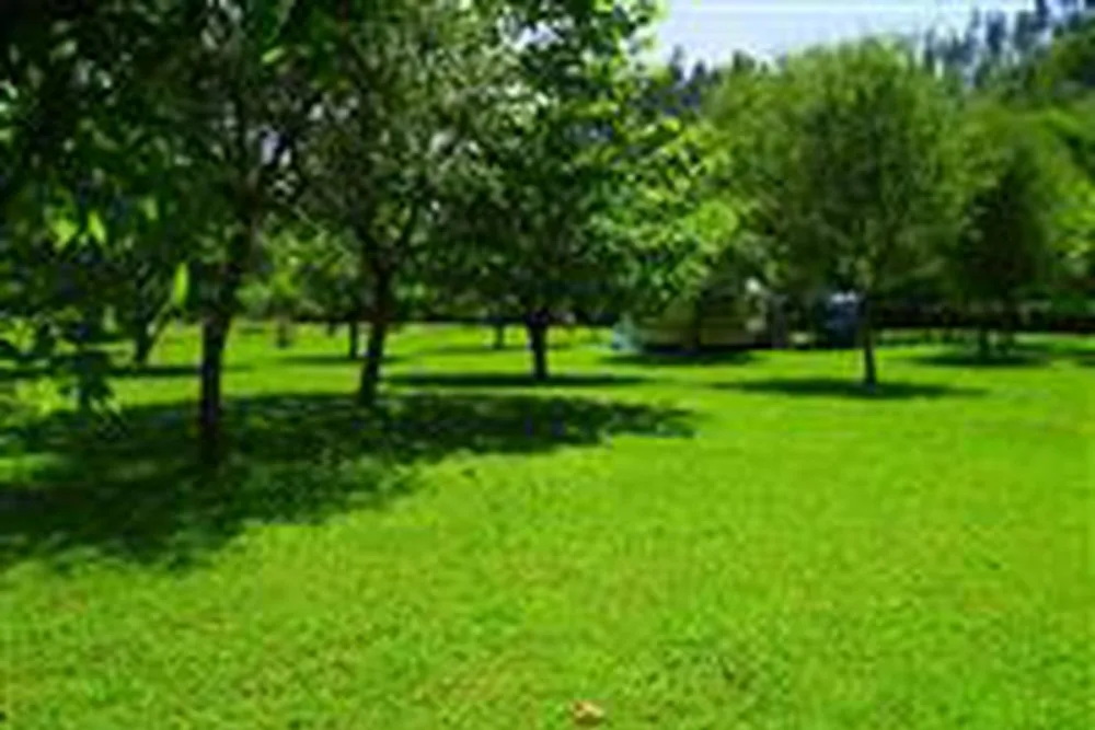 Camping Playa España