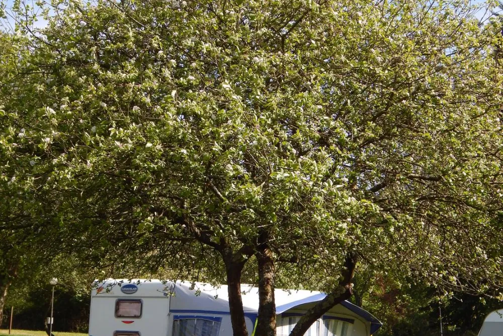 Camping Playa España