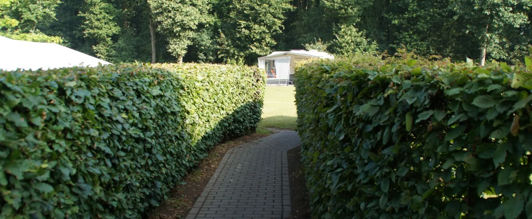 Nederrijkswald