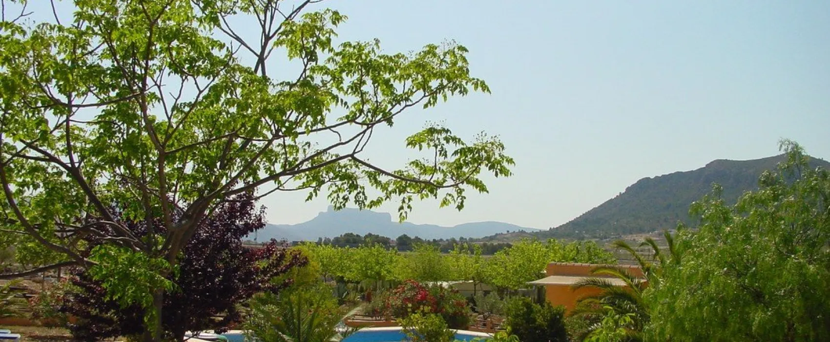 Campo Alegre, Asc. Amigos de Acampada