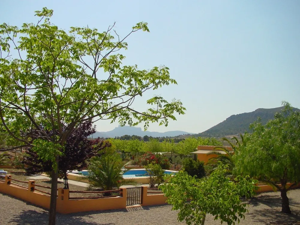 Campo Alegre, Asc. Amigos de Acampada