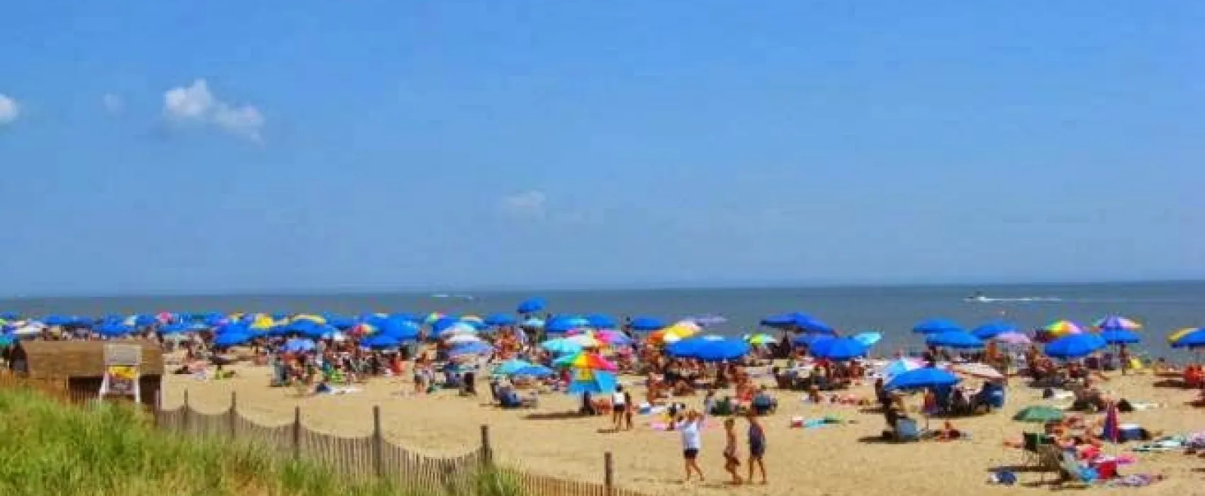 Delaware Beaches Jellystone Park