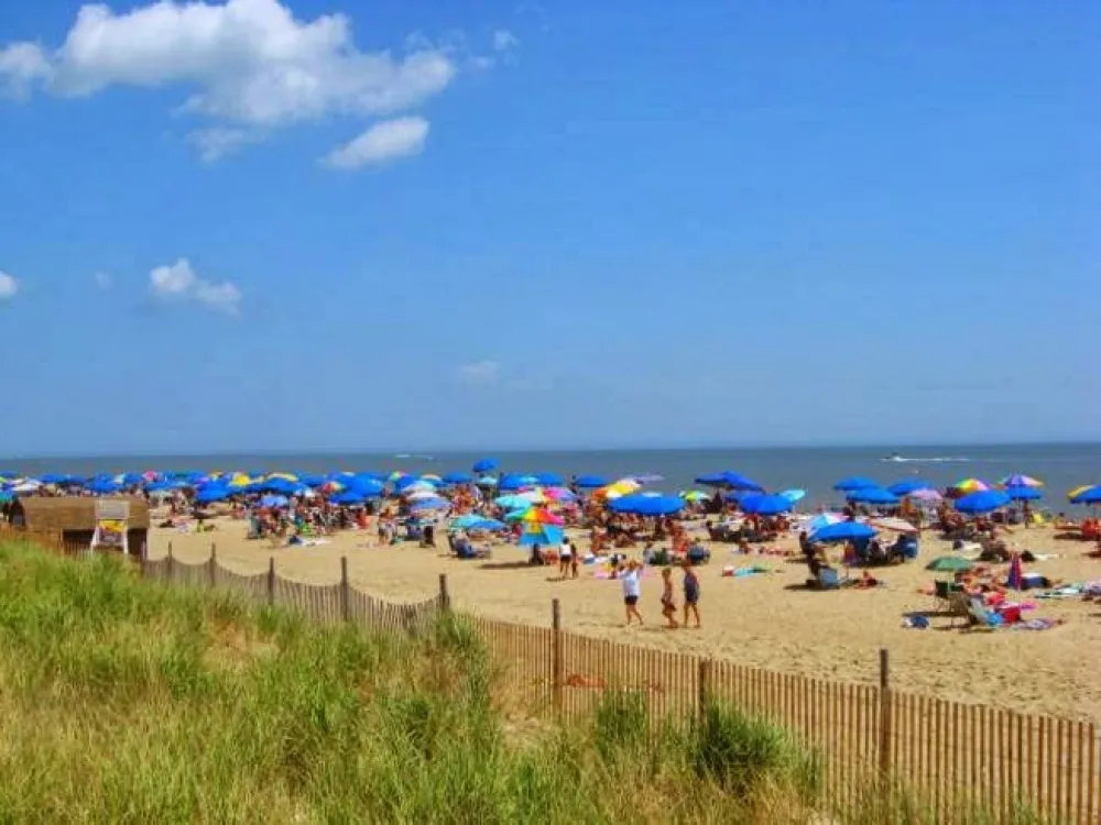 Delaware Beaches Jellystone Park